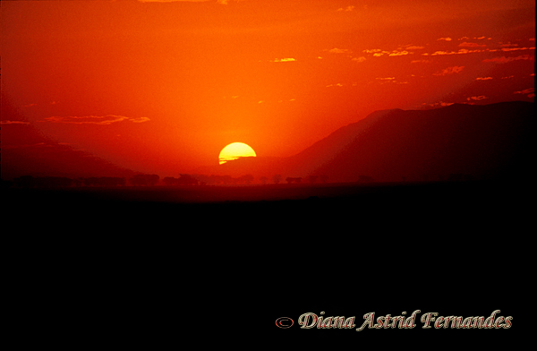Kenya,-Amboseli-sunset
